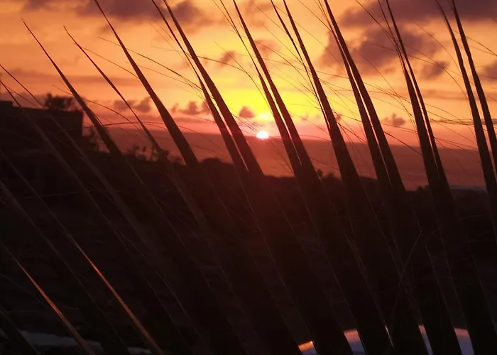 Apartment Scialu & Riscialu *